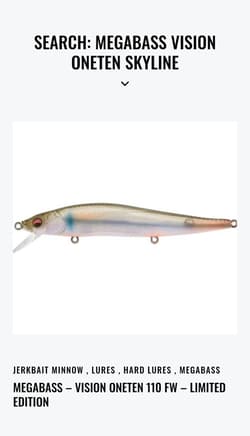 Megabass Vision 110 Skyline RARE LMTD 100pcs France Release SOLD OUT BRAND NEW - Thumbnail 5