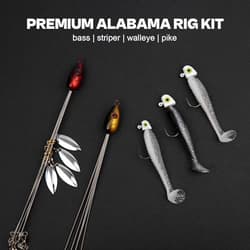 Alabama Rig (A-Rig) Fishing Lures Kit – 2 Rigs, 10 Jig Heads & White Jigs - Thumbnail 5