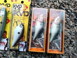 Rapala Huskyjerk Rattlin Strike King KVD Square Bill Sexy Dawg Fishing Lures Lot - Thumbnail 4