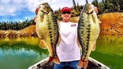 [RDY] [Free Shipping] Strike King ProModel Crankbait S5XD Sexy Blue Back - Thumbnail 6