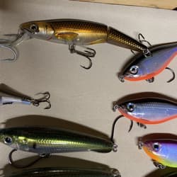 Giant Bundle of 55 Rapala X-Rap Jerkbaits - Top water Awesome Colors and Sizes! - Thumbnail 6