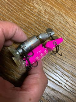 Gary Yamamoto YABAI BRAND FUNA BAIT HONEY (Set of 2) - Thumbnail 4