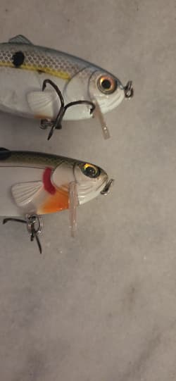 Lot Of (2) Strike King Wake Shad King Shad 4" Swim Bait Wake Bait Jointed Bass - Thumbnail 7