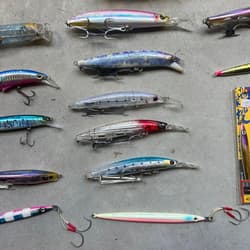 Blue-backed fish, shore jigging, lures, Setupper, Gekito Jig, Rapido, Bullet - Thumbnail 5