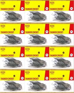 (12) Strike King 5/8 Oz Thunder Cricket Bladed Vibrating Jigs Mouse Brand New - Thumbnail 1