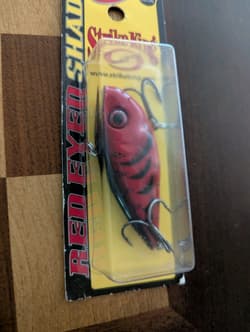 Lot 51x Strike King KVD 1.0/1.5/2.5/Pro Model 5/Splash/DAWG/Elite/Jerkbait NEW - Thumbnail 15