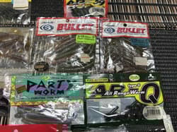 Nojiri Lake, Hibara Lake, Smallmouth Bass, Gary Yamamoto, Imu, Worm, Shrimp, - Thumbnail 4