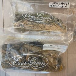 RAID JAPAN, Deps, Gary Yamamoto - Thumbnail 4