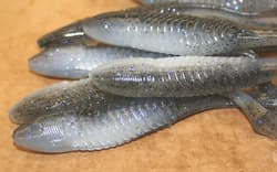 5" Swim Minnow Crystal Shad Paddle Tail Swimbait Trailer for A Rig 50 pack bulk  - Thumbnail 6