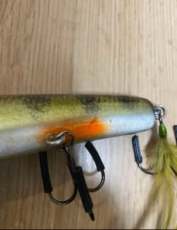 Lunker Punker 8inch Old Lure Free shipping - Thumbnail 3