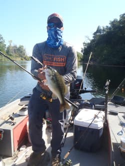 Swimbait sale auction 10 swimbaits  Striper swimbait fishing Glide Bait bass - Thumbnail 11