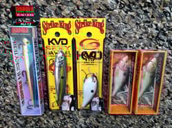 Rapala Huskyjerk Rattlin Strike King KVD Square Bill Sexy Dawg Fishing Lures Lot - Thumbnail 2