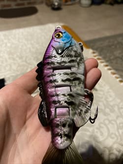 3:16 Lure Co. Swimbait 5 FS Gill Lot Of 2-(1) SS/(1)F BaitWorks Custom Color - Thumbnail 3