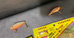 Bait Lure Strike King Lures and Baits w/ Storm Rattle Tube and Bass Stopper - Thumbnail 13