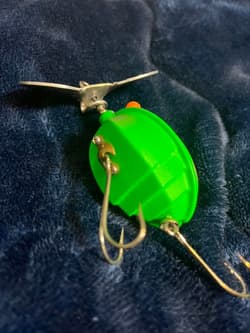 Frog s Ladybug - Thumbnail 6