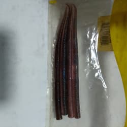 Gary Yamamoto 5 inch Pro Senko - Thumbnail 7