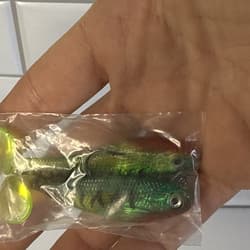 Creme Spoiler Shad 3" Swimbait FireTiger 2pk. - Thumbnail 10