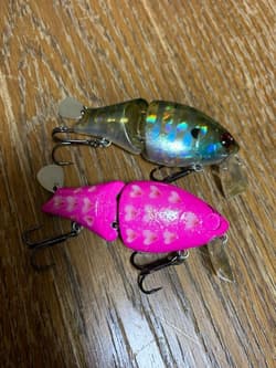 Gary Yamamoto YABAI BRAND FUNA BAIT HONEY (Set of 2) - Thumbnail 2