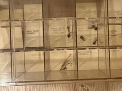 Fly Fishing Giant Lot !!! - Thumbnail 4