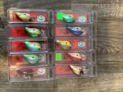 10 Zoom Bait Company WEC Custom E-I Crankbait Fish Lure - Thumbnail 2