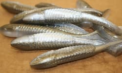 3.5" Swim Minnow Shad Paddle Tail Bass Swimbait Trailer for A Rig 50 pack - Thumbnail 3