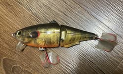 (2) Custom Painted Strike King- King Shad - Thumbnail 5