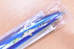 Carpenter Strike Eagle 250 L-Quiet Genkai Sea Special Casting Plug Used - Thumbnail 3