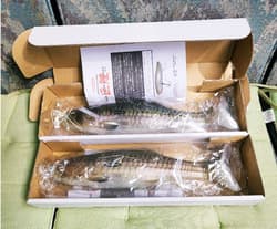 Signal Ultra Carp Version 2 killer carp swimbait Set of 2 Unused From Japan - Thumbnail 1