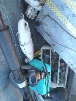 Swimbait sale auction 10 swimbaits  Striper swimbait fishing Glide Bait bass - Thumbnail 13