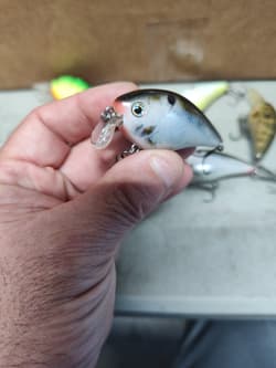 Strike King Silent Crank Baits - Three Different Models - Lot Of 7 - Thumbnail 5