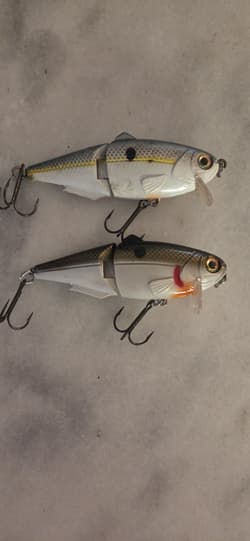 Lot Of (2) Strike King Wake Shad King Shad 4" Swim Bait Wake Bait Jointed Bass - Thumbnail 4