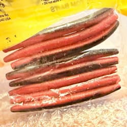 Gary YAMAMOTO 4 inch YAMASENKO (Senko) 31 worms set. YAMASENKO, opened, un. - Thumbnail 9