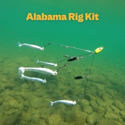 Alabama Rig (A-Rig) Fishing Lures Kit – 2 Rigs, 10 Jig Heads & White Jigs - Thumbnail 3