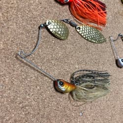 Evergreen D-Zone Spinnerbait Set 1/2oz 3/8oz White Chart Pre-spawn Dynamo Gold - Thumbnail 4