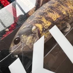 DRT KLASH9 Low DRT TIGER Swimbait for Freshwater & Saltwater Fishing - Thumbnail 2