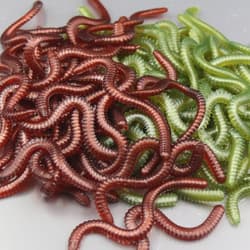 50 PCS Artificial Bait Worms Fishing Accessories Shape Lures Lifelike Baits - Thumbnail 8