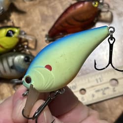 Lot Of 18 Squarebill Crankbaits Xcite Strike King Ark Unbranded No Combined Ship - Thumbnail 20