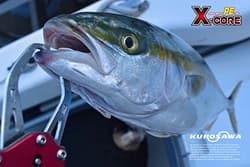 NEW KUROSAWA PE Fishing Line X-CORE multicolor 500m 8 strands No.22 209lb/94.8kg - Thumbnail 4