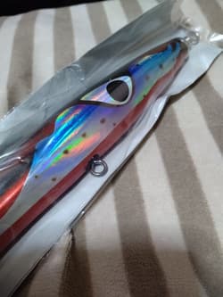 Bazu 200 Squid CBONE Fresh Unused Fish Bait - Thumbnail 2