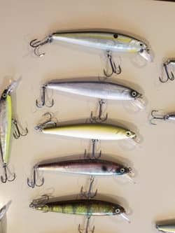 Jerkbait Bundle - Awesome Pack of Strike King KVD Jerkbaits - Great Colors! - Thumbnail 5
