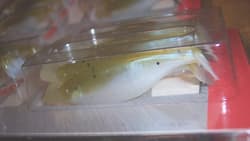 Manns Baitfish Minnow Umbrella Rig Q Paddler Weedless Shad Hardnose Discontinued - Thumbnail 13