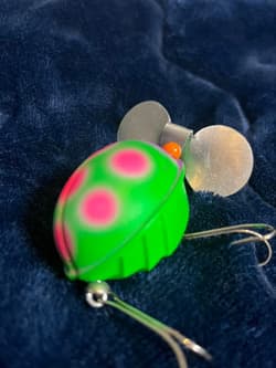 Frog s Ladybug - Thumbnail 3