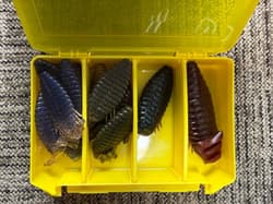 Depth worms 50+ bags + 5 tackle boxes + 2 box cases - Thumbnail 6