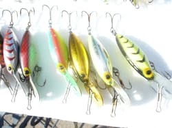 LOT OF 10 STORM VINTAGE HOT N TOT BEAUTYS 2 LARGER SIZE A FEW MINOR WEAR CHEAP - Thumbnail 4