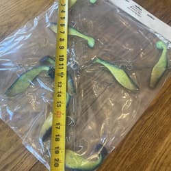 Umbrella Rig 4 Arm 11” With 6” Shad (9)  Chartr. Blue 8/0 Hook Mustad New In Pkg - Thumbnail 23
