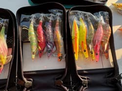 Many Eging Lures Sets - Thumbnail 4