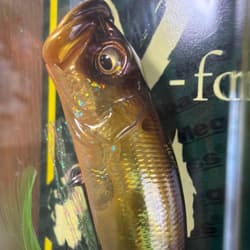 Megabass Topwater Lure Set POP MAX & POP X Gold 5cm Fishing Accessories - Thumbnail 7