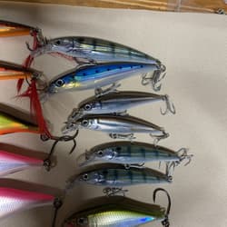 Giant Bundle of 55 Rapala X-Rap Jerkbaits - Top water Awesome Colors and Sizes! - Thumbnail 18