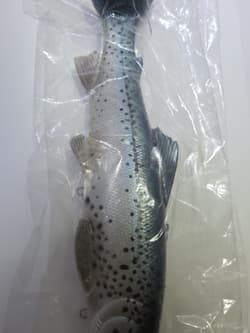 Working Class Zero RARE 11” Battles trout discontinued Swimbait By WCZ - Thumbnail 7