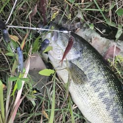 Alabama Rig Bama Fish Roller Ghost Wire Complete Set Used for Bass Fishing - Thumbnail 4